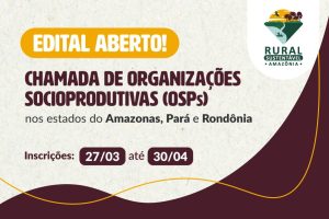 Oportunidade aberta: até R$780mil aplicados em ações com Organizações Socioprodutivas (OSPs) na Amazônia