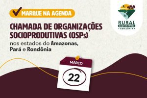 Fique de olho: quarta-feira (22) será lançado edital para coletivos produtivos na Amazônia