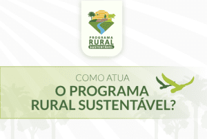Conheça o Programa Rural Sustentável: presente em 21% do território brasileiro, com ações voltadas a práticas de baixa emissão de carbono