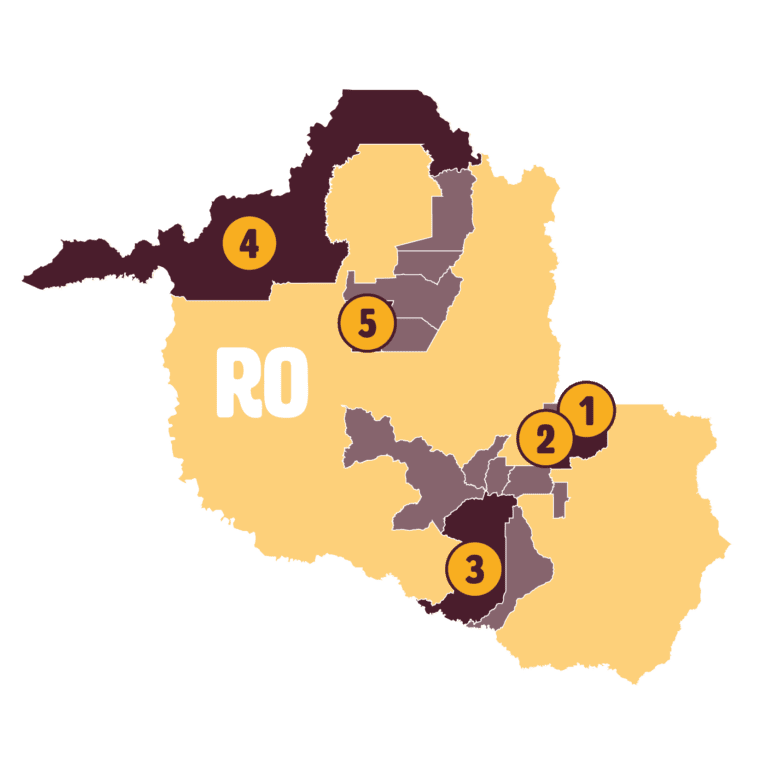 organizações socioprodutivas de Rondônia