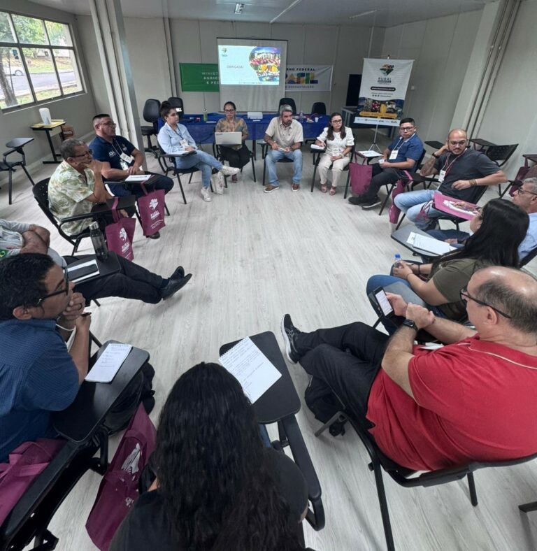 Oficinas para criar planos de fortalecimento de cadeias