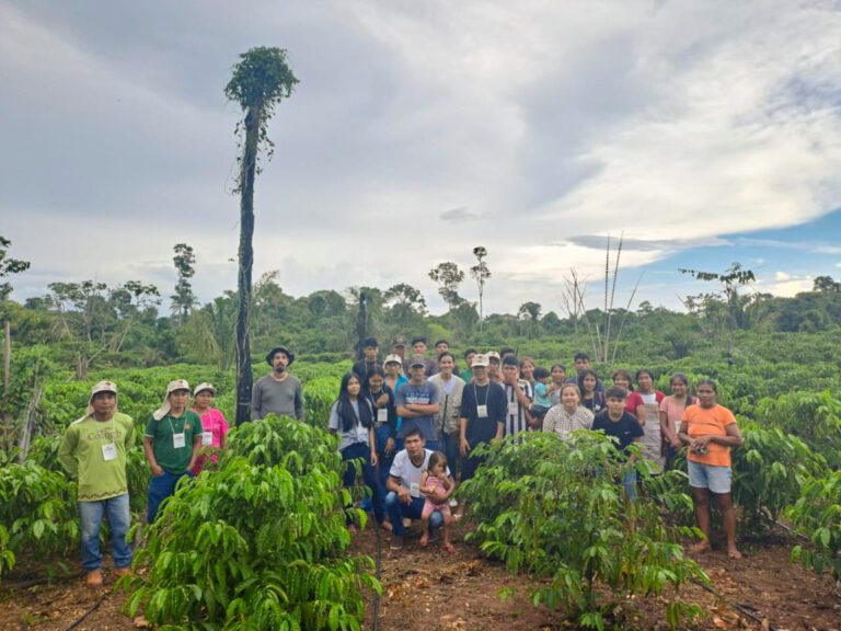 Dia de Campo na cadeia do café