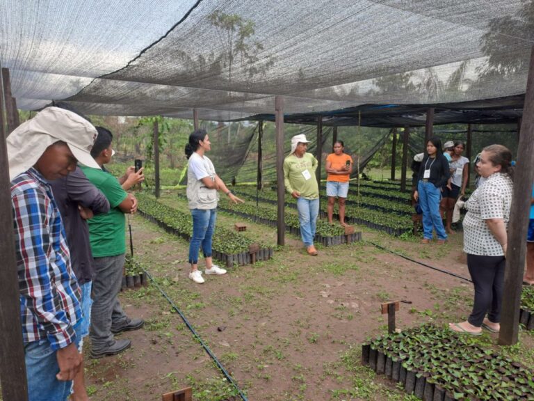 Equipe de campo d0o Projeto e membros(as) da Õtaibit, nos viveiro de café da família anfitriã, Nilzete Tupari e Felipe Makurap