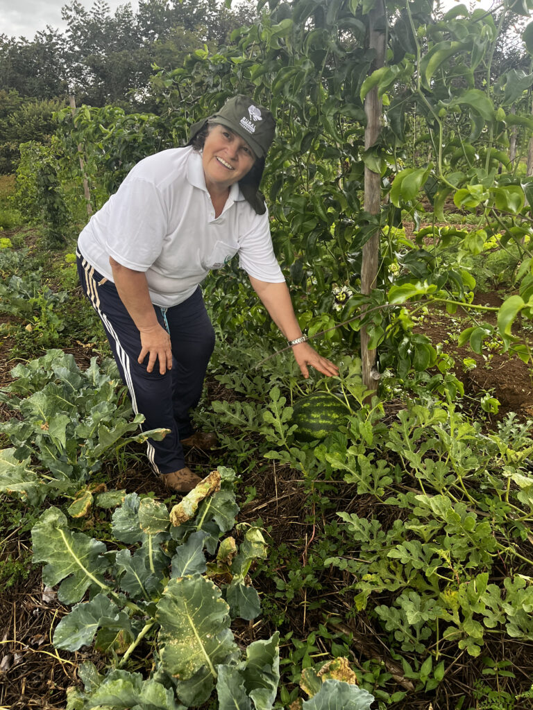 Criada no campo, Marilene é produtora há 34 anos. Atualmente, trabalha com hortaliças orgânicas