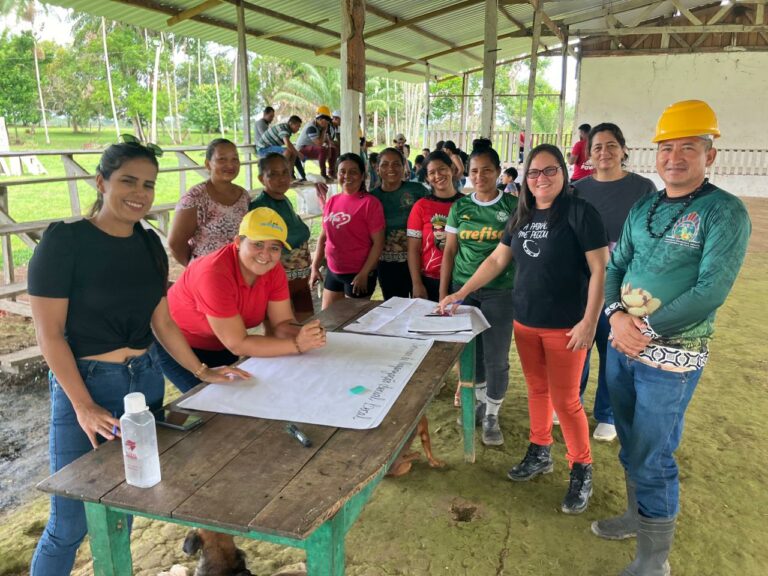 Aplicação da abordagem dos "sistemas suaves" com a comunidade indígena Nova Esperança do povo Kokama