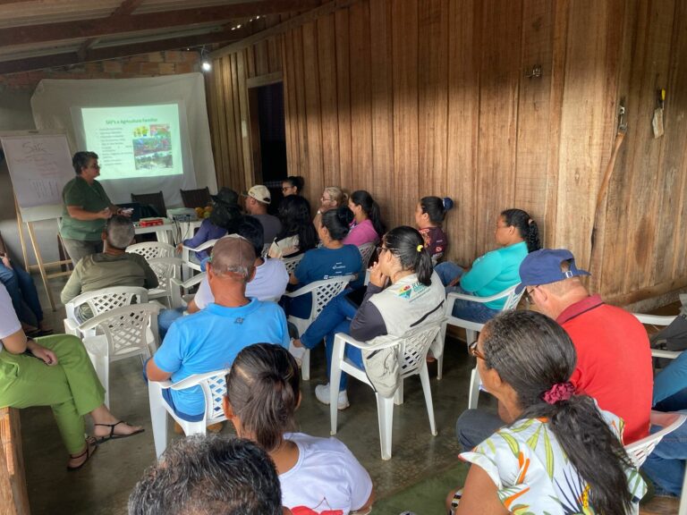 Palestra sobre as boas Práticas na lavoura do cacau: beneficiamento primário