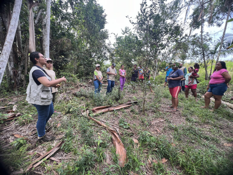 Visita aos pólos produtivos da APAFE
