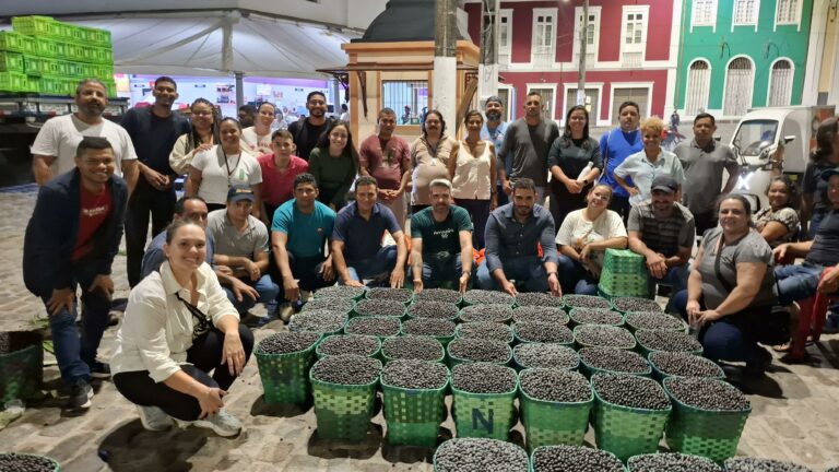 No mercado Ver-o-Peso para acompanhamento do desembarque e comercialização do açaí