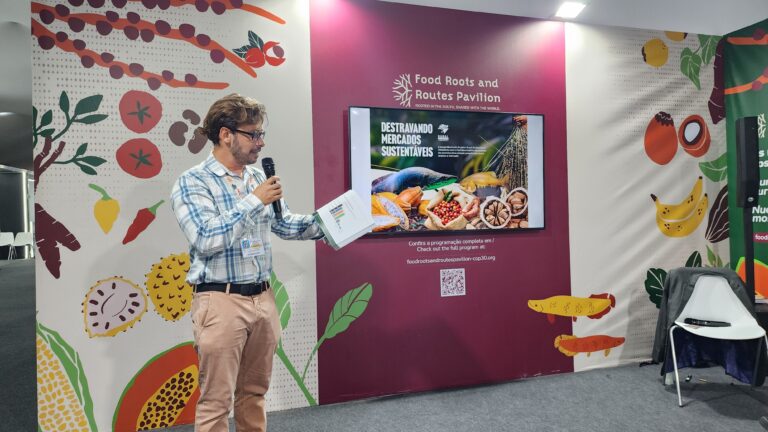 Lançamento da publicação“Destravando mercados sustentáveis: a experiência do Projeto Rural Sustentável - Amazônia com o fortalecimento de cadeias da sociobiodiversidade amazônica para o acesso a mercado”