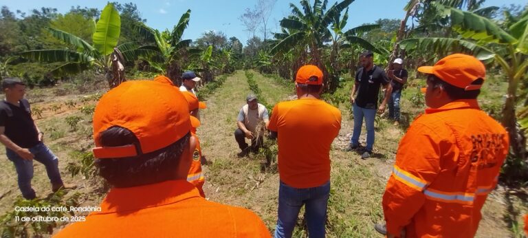 Dia de campo de ATER na cadeia do café