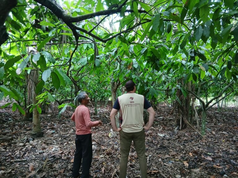Oficina de diagnóstico de ATER na cadeia do cacau