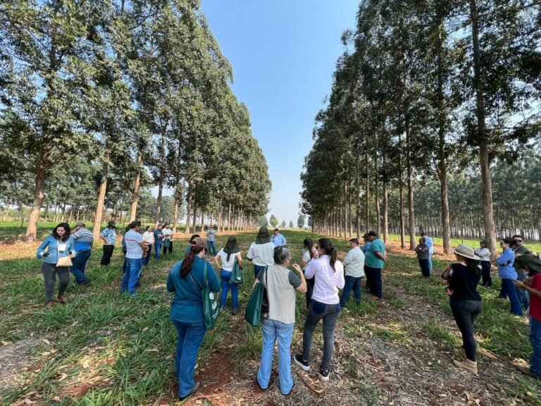 Capacitação com ATECs