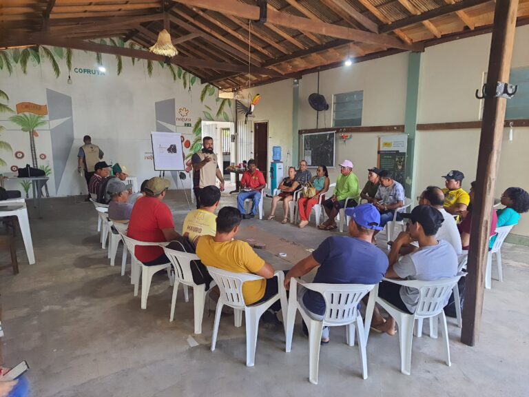 Oficinas de Planos de Negócios cadeia do açaí