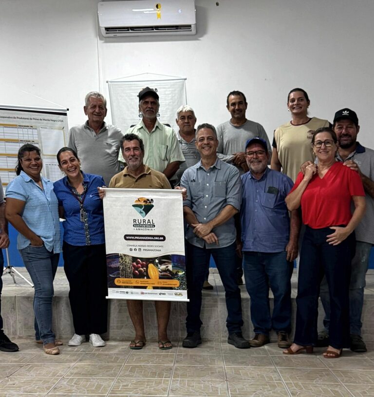 Oficinas de Planos de Negócios cadeia do peixes redondos