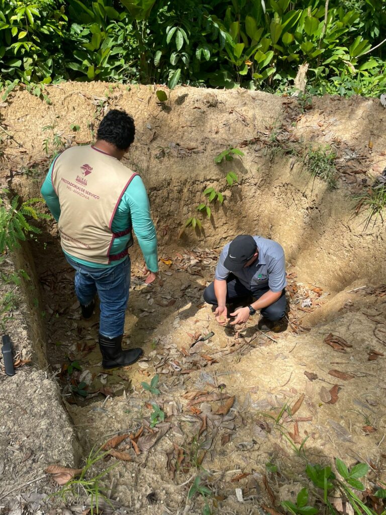 Visita técnica de ATER  na cadeia do açaí