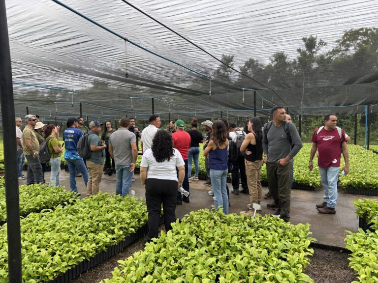 Dia de conhecer a Selva Café e a cafeicultura tradicional e tecnificada
