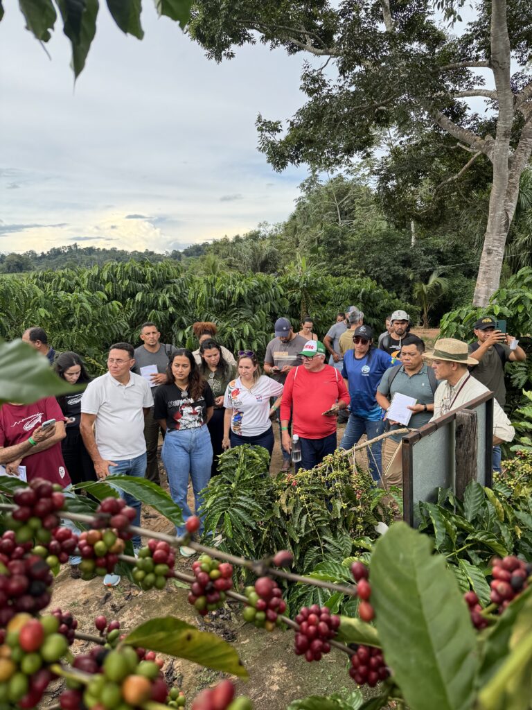 Visita ao Café da Luz