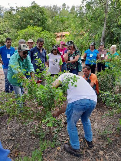 Na prática da agricultura, estes produtores encontram uma forma de produzir os próprios alimentos, garantir renda própria, comercializar produtos